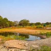 Premier High-Fence Game Hunting Ranch With Private Landing Strip images 3