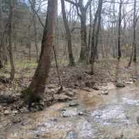 74 Acres of Waterfront Land in Eureka Springs AR