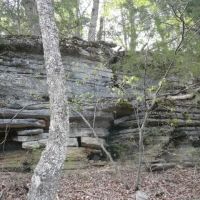 74 Acres of Waterfront Land in Eureka Springs AR images 3