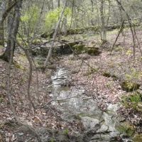 74 Acres of Waterfront Land in Eureka Springs AR images 4