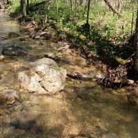 74 Acres of Waterfront Land in Eureka Springs AR images 5