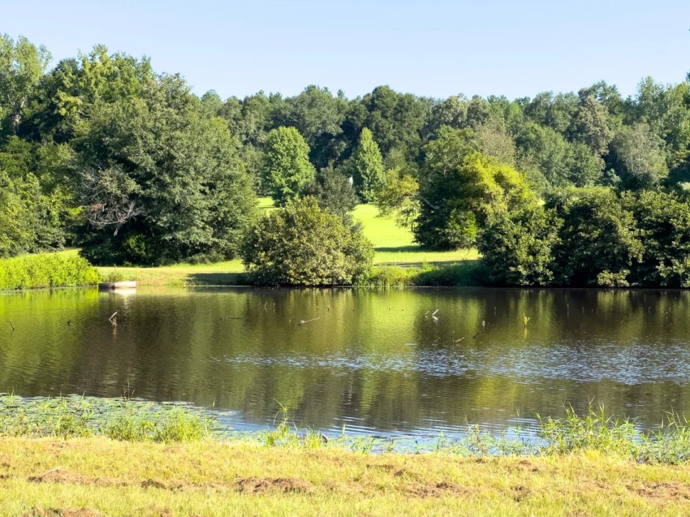 Jefferson County 291 Acres featured image