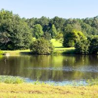 Jefferson County 291 Acres