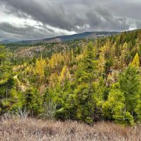 New Beginnings On Boon Road images 5