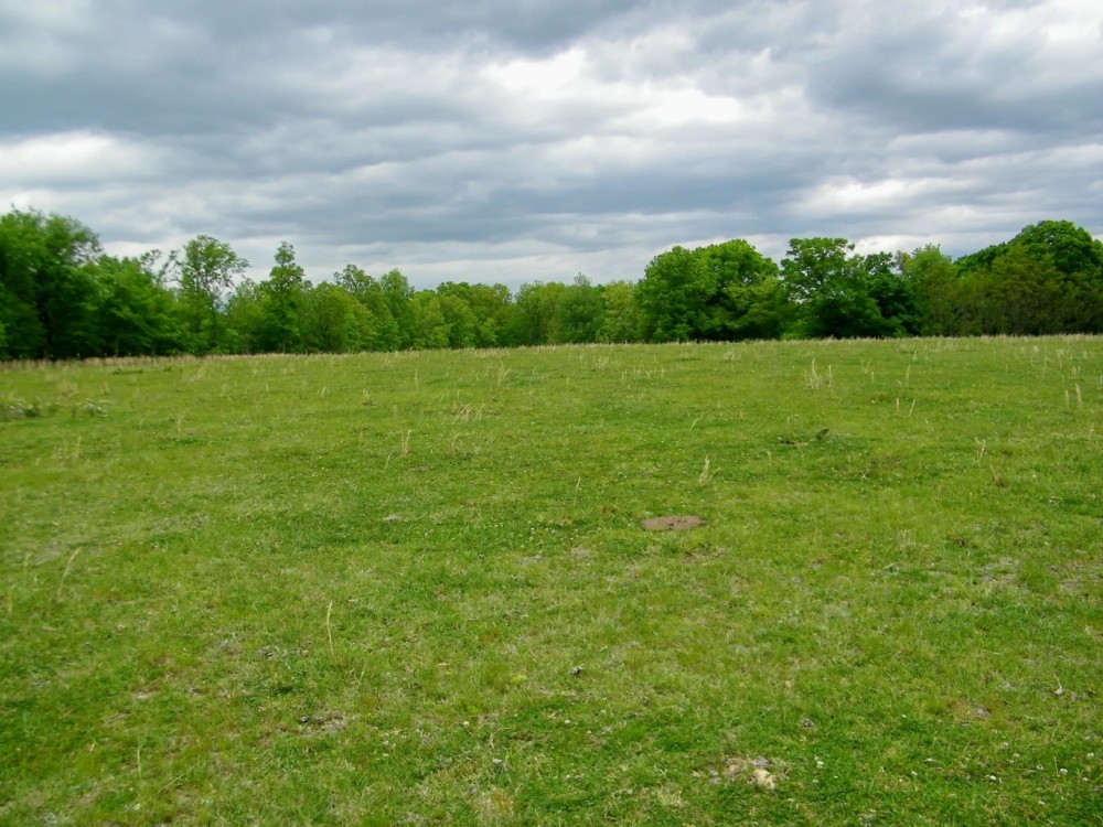 107 Acres of Seclusion to Hunt Graze or Build your Home featured image