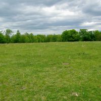 107 Acres of Seclusion to Hunt Graze or Build your Home