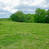 107 Acres of Seclusion to Hunt Graze or Build your Home images 3