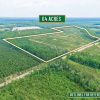 Timber Wildlife and Serenity 64 Acres in Telfair County