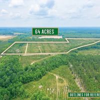 Timber Wildlife and Serenity 64 Acres in Telfair County images 2