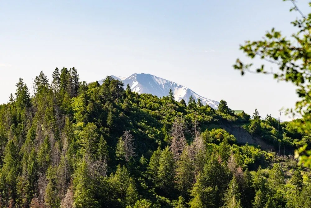 Seven Springs Ranch featured image