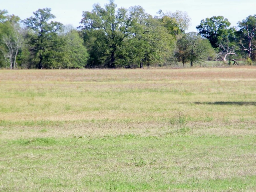 Idabel Ok 424 Acre Ranch w Hay Production featured image