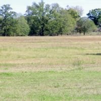 Idabel Ok 424 Acre Ranch w Hay Production
