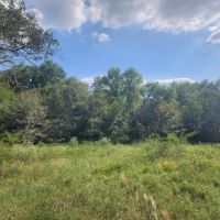 Hwy 271 Acreage