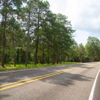 61 Acres T-17 Stryker Mill images 4