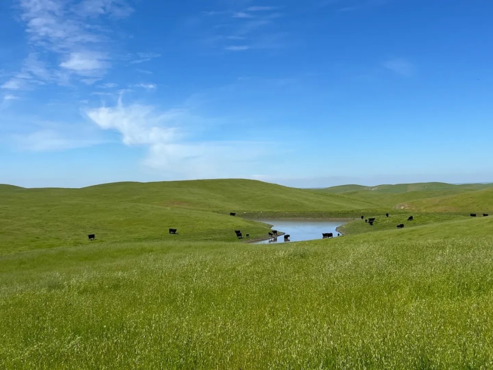 Redington Ranch featured image