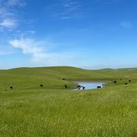 Redington Ranch