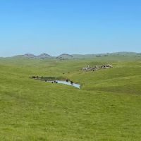 Redington Ranch images 4