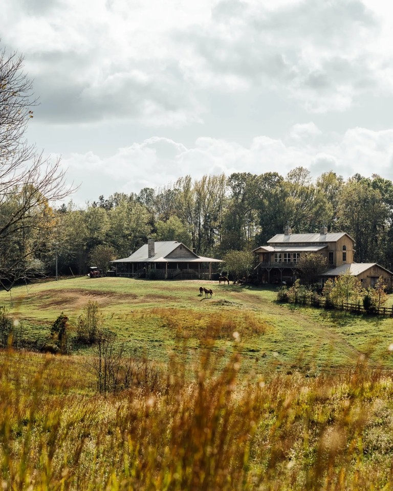 76.2 Acres with a Log Cabin Cypress Barn and Barndominium in Carroll County MS featured image