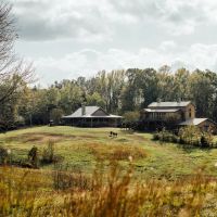76.2 Acres with a Log Cabin Cypress Barn and Barndominium in Carroll County MS