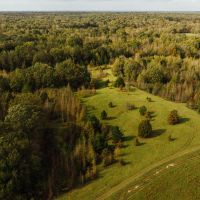 76.2 Acres with a Log Cabin Cypress Barn and Barndominium in Carroll County MS images 5