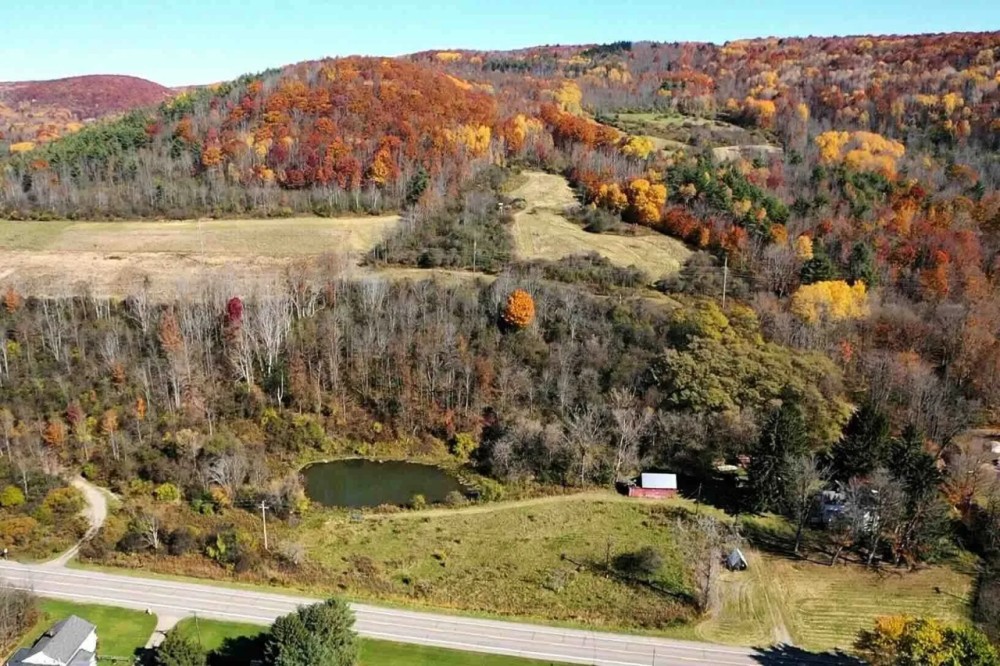 271 acre Hunting Retreat with House Woods and Ponds in Canisteo NY 4092 NY-36 featured image