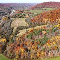 271 acre Hunting Retreat with House Woods and Ponds in Canisteo NY 4092 NY-36 images 2