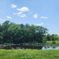Buffalo Valley acreage images 5