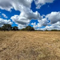 143 Acres Wood Farm Road images 3