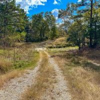 143 Acres Wood Farm Road images 4