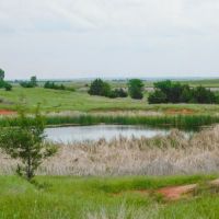 129 Acres Ponds Pasture Timber Building Tracts More