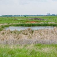 129 Acres Ponds Pasture Timber Building Tracts More images 2