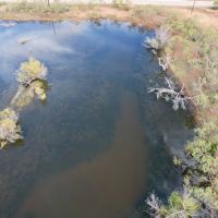 New Listing 15 - Acres Home Taylor County images 4