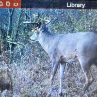 Recreational Property for sale minutes from Wildcat Mountain State Park images 3
