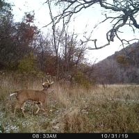 Recreational Property for sale minutes from Wildcat Mountain State Park images 4