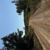 160.2 Acres in Yalobusha County MS images 2