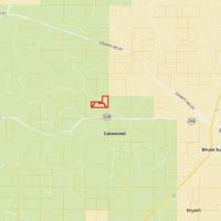 160.2 Acres in Yalobusha County MS images 3
