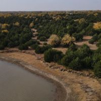108 Acres m l 11649 SW 140th St Augusta KS 67010 images 4