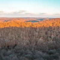 House Springs Hollow