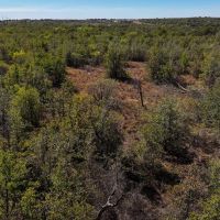 Hardwood Haven images 3
