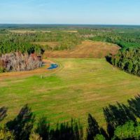Water Oak Farm - Tract 2 images 2