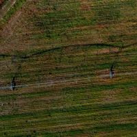 Water Oak Farm - Tract 2 images 3