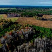Water Oak Farm - Tract 2 images 4