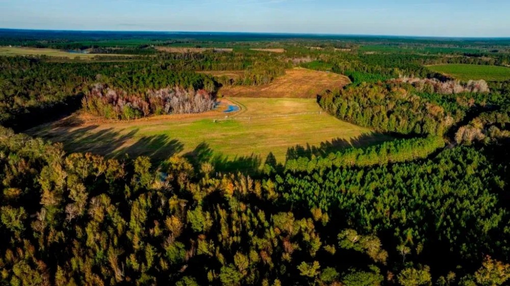 Water Oak Farm - Tract 2 featured image