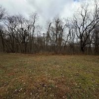 LAND FOR SALE - 6.5 - ACRES BUILDING LOT- WOODS - ENGLISH INDIANA - CRAWFORD COUNTY images 4