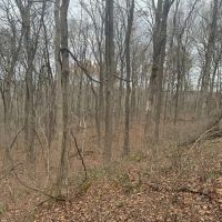 LAND FOR SALE - 6.5 - ACRES BUILDING LOT- WOODS - ENGLISH INDIANA - CRAWFORD COUNTY images 5