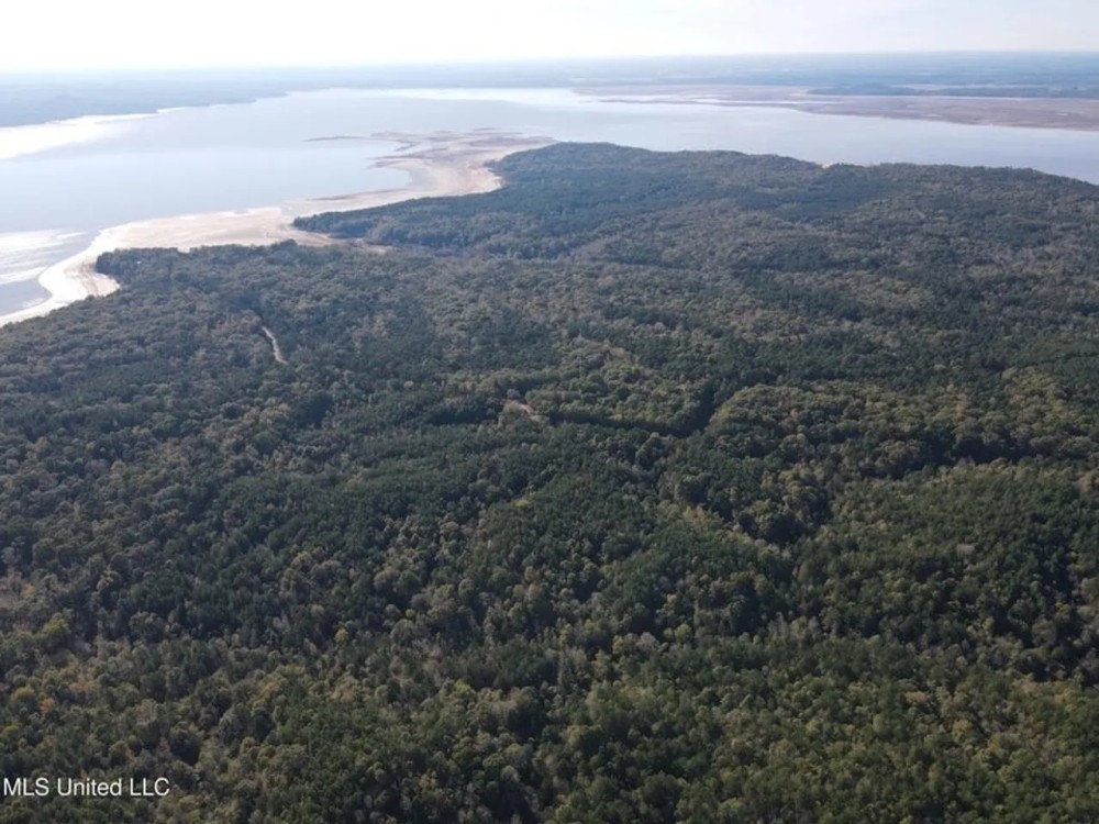 Carver Point Timber Tract in Grenada Co at Grenada Lake featured image