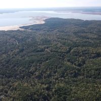 Carver Point Timber Tract in Grenada Co at Grenada Lake