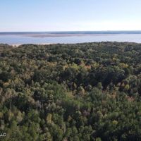 Carver Point Timber Tract in Grenada Co at Grenada Lake images 2