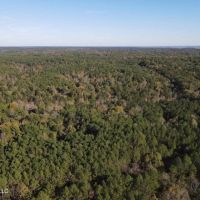 Carver Point Timber Tract in Grenada Co at Grenada Lake images 3