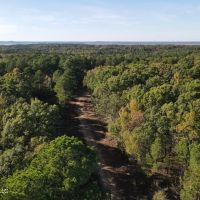 Carver Point Timber Tract in Grenada Co at Grenada Lake images 4